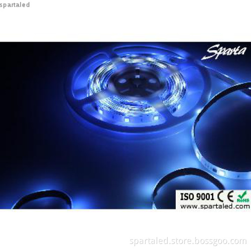 12V SMD5050 60D fexible strip light waterproof